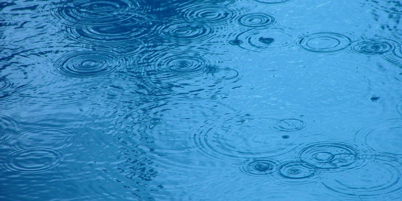 Raindrop ripples on a pond